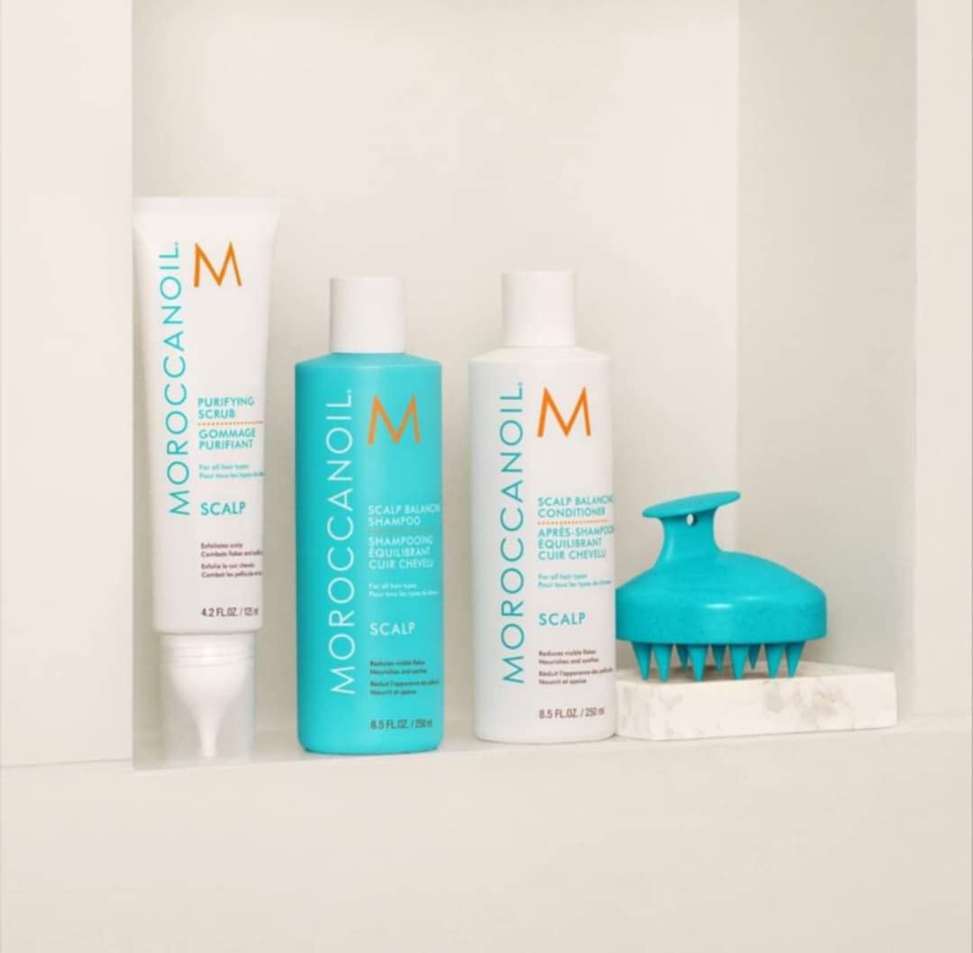 Shampooing équilibrant cuir chevelu 250ML | SCALP Moroccanoil