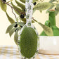Brosse démêlante | Collection Limoncello - Positano | Framar