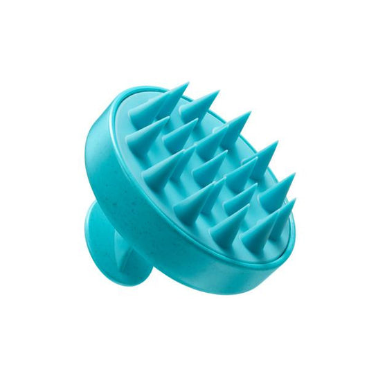 Scalp - Brosse | Moroccanoil