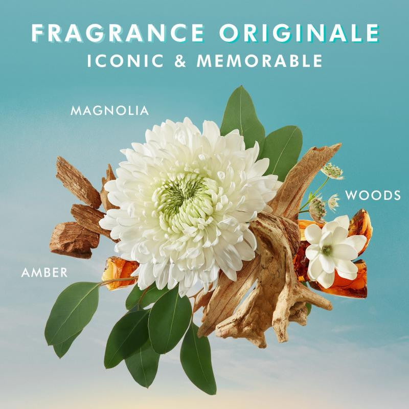 Ensemble The Body Suite CORPS| Morocanoil